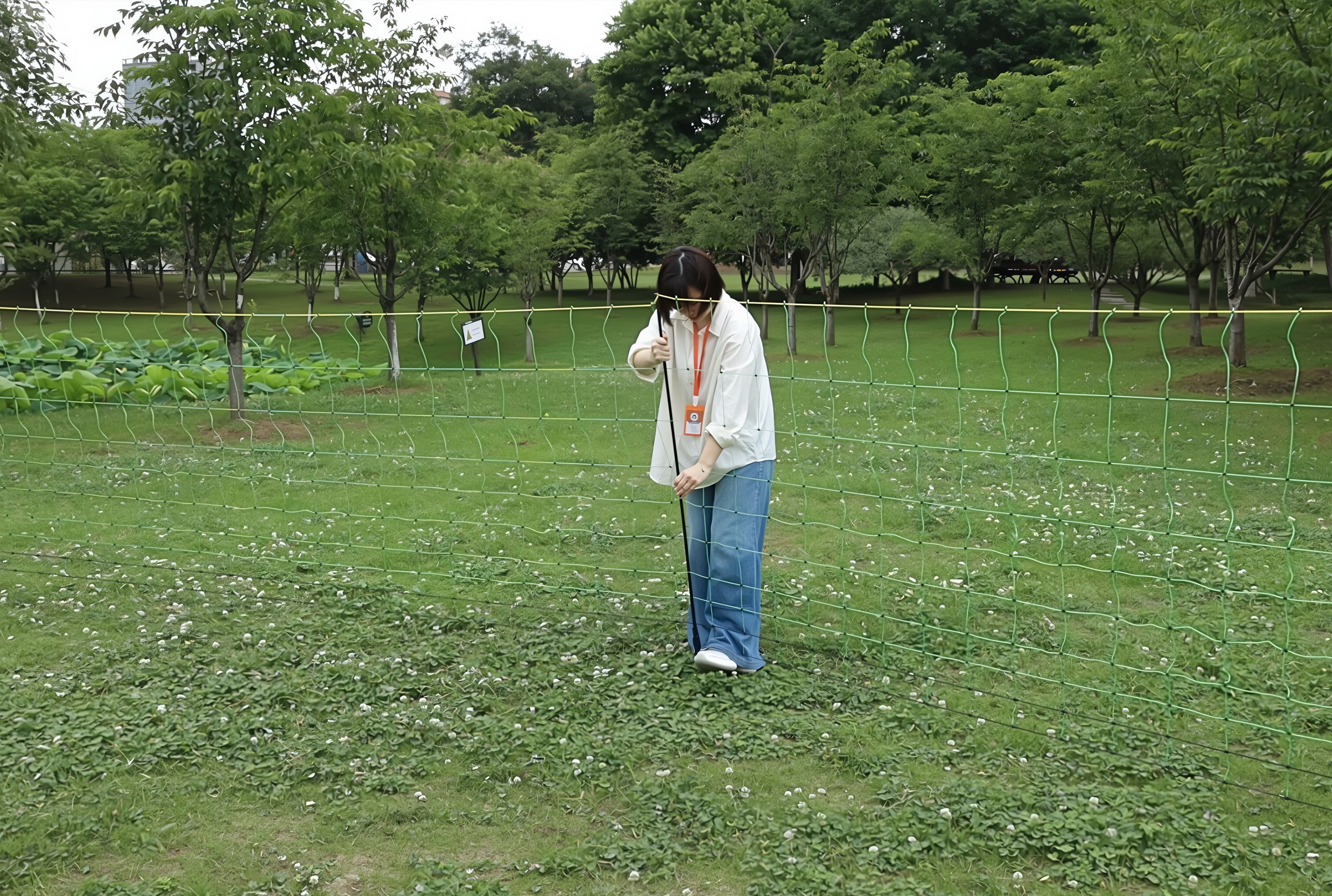 7. 展开围栏网.jpg