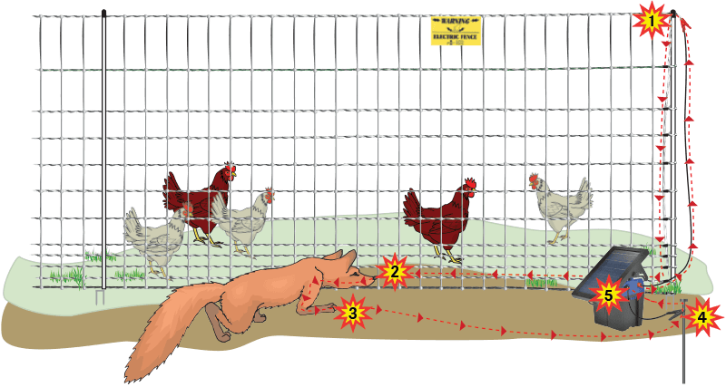 how-poultrynet-works.png
